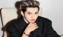 全网处理吴亦凡参演短视频190万条,190万条播放量见证人气巅峰