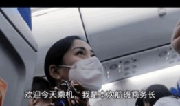 月兔短视频,探索奇幻月兔世界的魅力瞬间