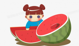 西瓜动漫,描绘青春梦想的彩色画卷