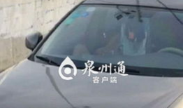 车震短视频下载,隐私边界与网络监管的较量