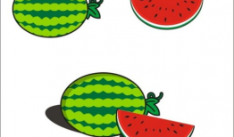 西瓜动漫,描绘青春梦想的彩色画卷