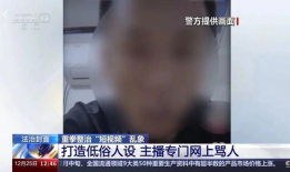 短视频乱象,揭秘网络世界的“暗流涌动”