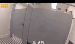 月兔短视频,探索奇幻月兔世界的魅力瞬间