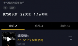 抖音短视频音乐,旋律中的潮流风向标