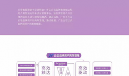 短视频传播案例,揭秘爆款内容背后的秘密